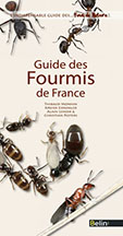 couverture livre Guide des fourmisourmis